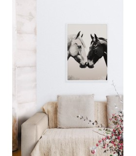 Affiche Chevaux tendres museaux